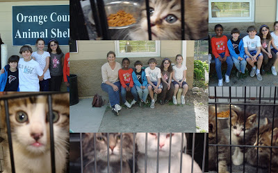 2010+Animal+Shelter1