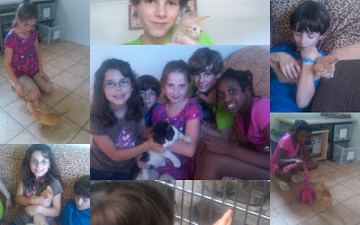 2010+Animal+Shelter3