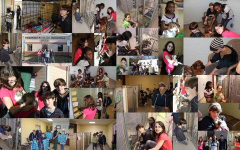 2011 Animal Shelter1