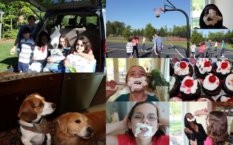 2011 Animal Shelter2