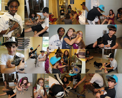 2011+Animal+Shelter6